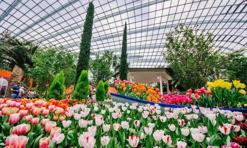 Gardens by the Bay with River Cruise