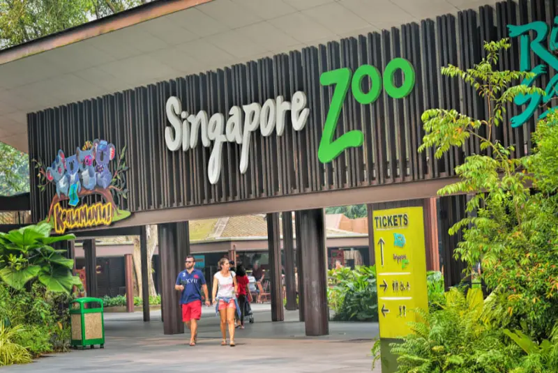 Singapore Zoo and River Safari
