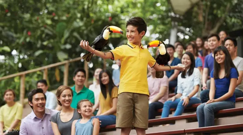 Bird Paradise
