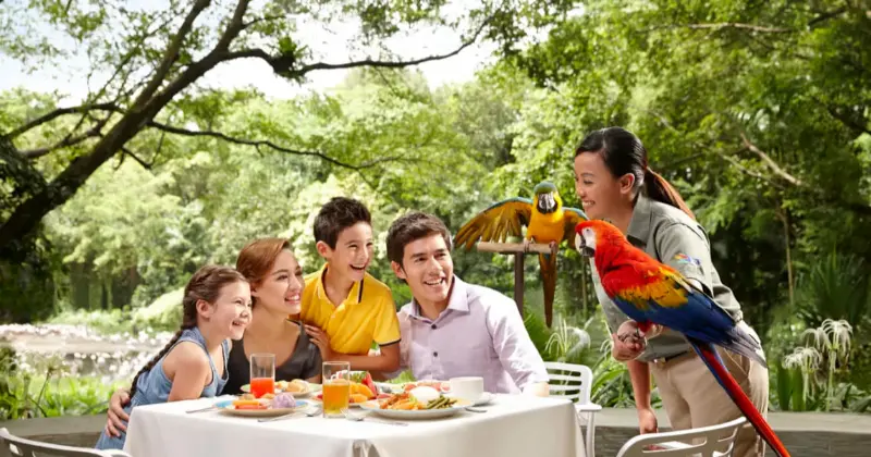 Bird Paradise