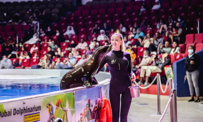 Dolphinarium with Ski Dubai