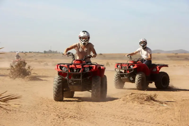Evening Desert Safari With Dinner