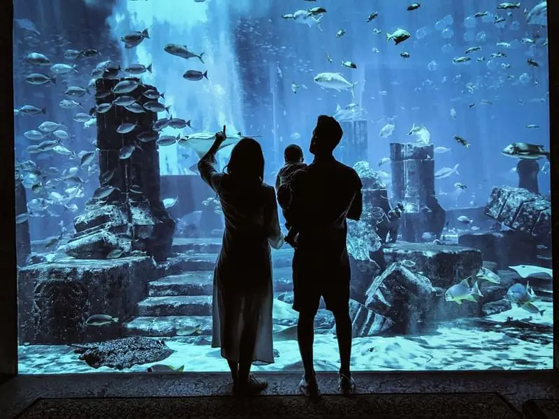 Atlantis Adventure: Aquatic Wonders and Lost Treasures