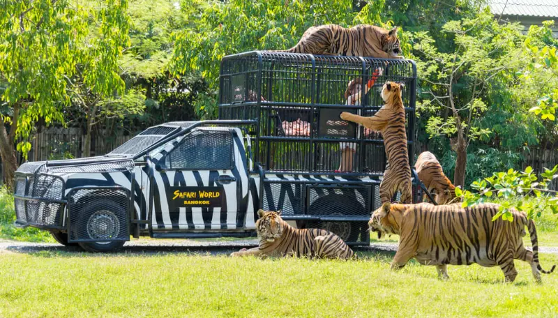 Full Day Safari World and Marine Park