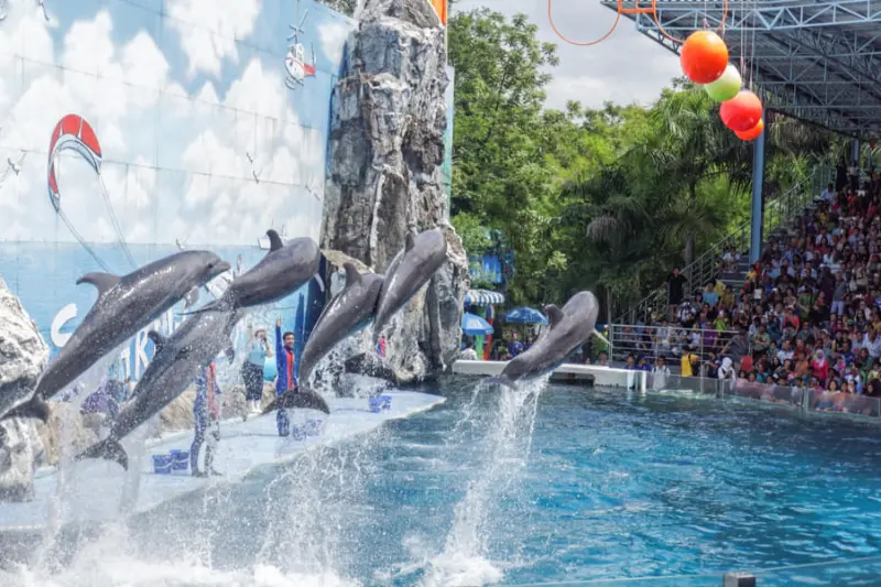 Full Day Safari World and Marine Park