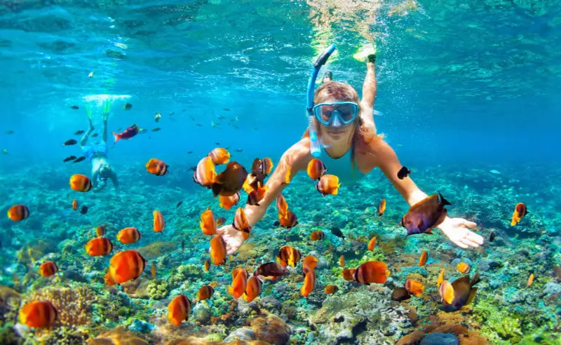 Half Day Coral Island Tour