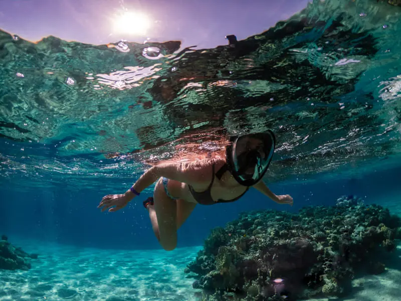 Full Day Phi Phi Island Tour