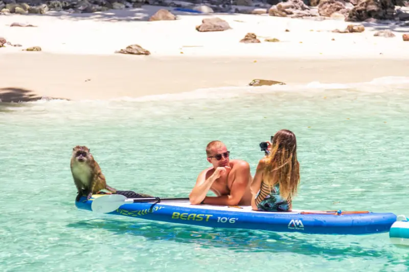 Full Day Phi Phi Island Tour
